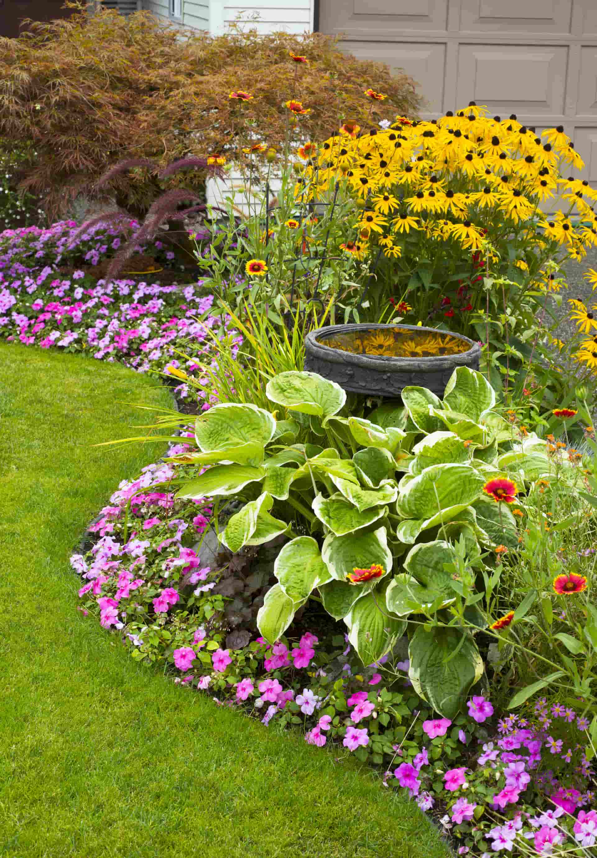 Landscape Design